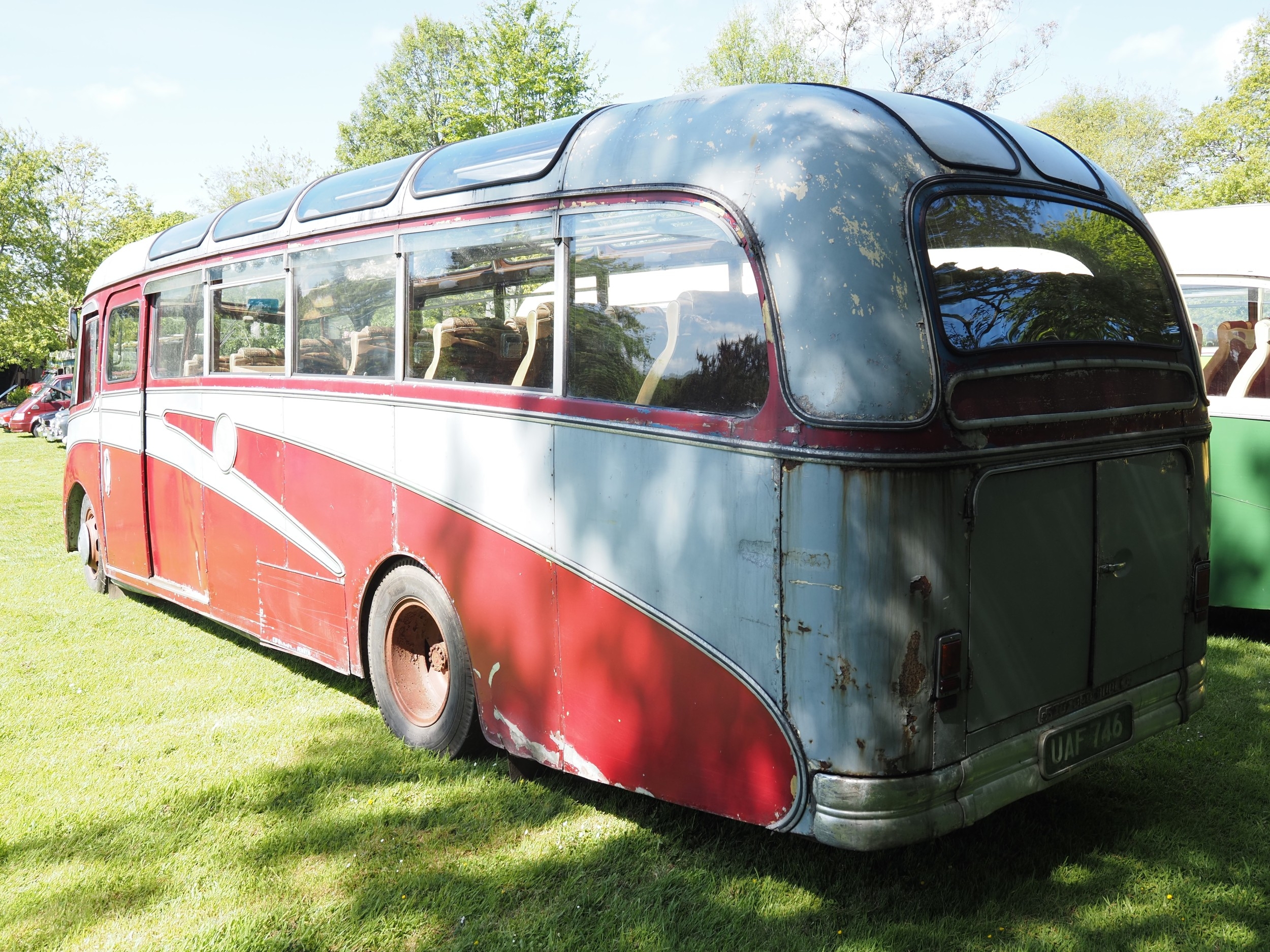 Bedford Duple Vega SB coach. 1955. 5 Litre petrol. 36 seater. New to ...
