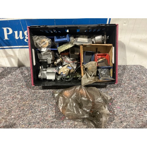 Lot 21        
