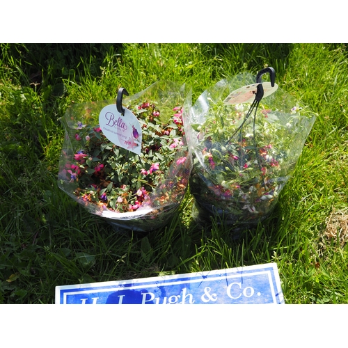 Lot 22        