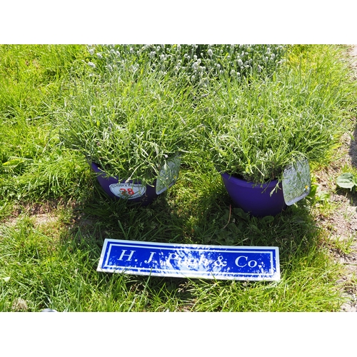 Lot 28        