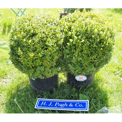 Lot 32        
