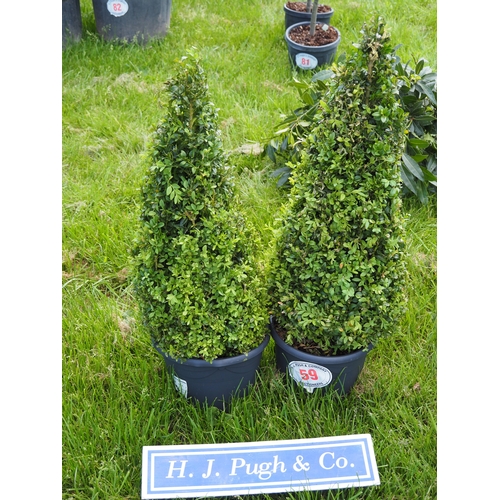 Lot 59        