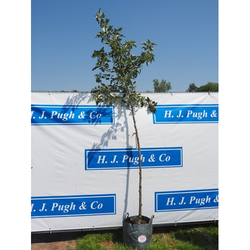 Lot 939       