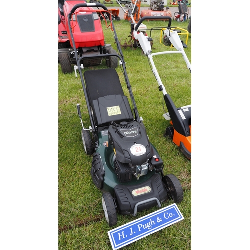 Lot 24        