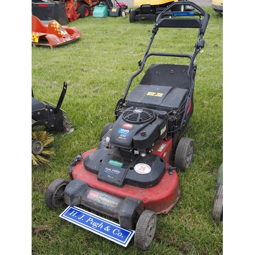 Lot 29        