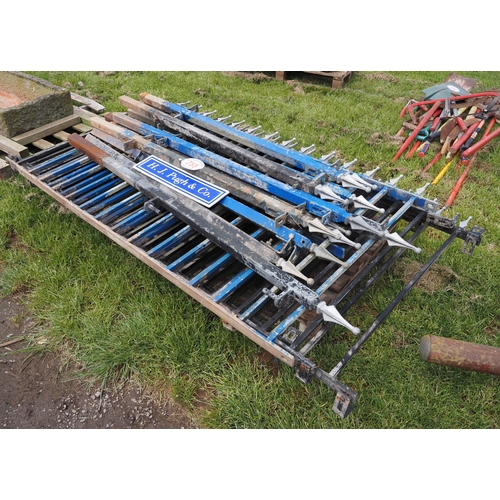 Lot 755       