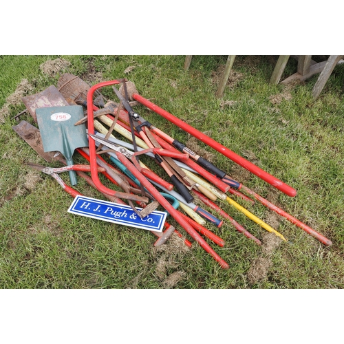 Lot 756       