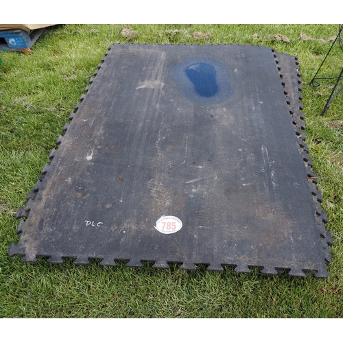 Lot 785       