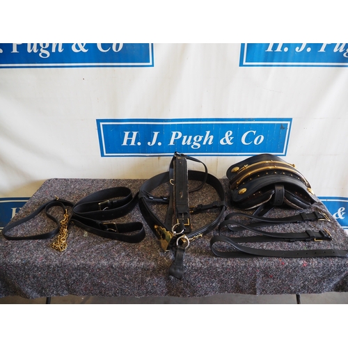 Lot 2         
