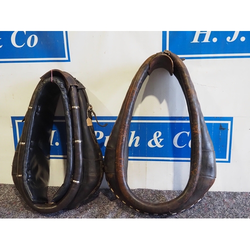 Lot 23        
