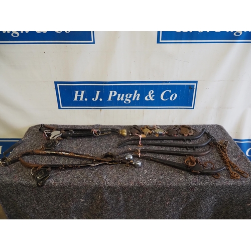 Lot 26        