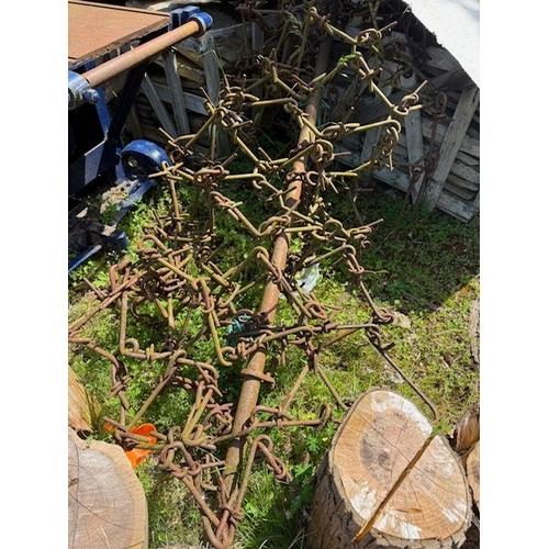 Lot 55        