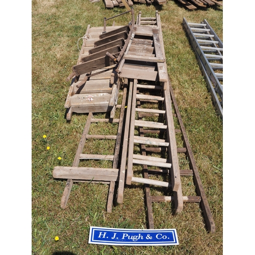 Lot 36        