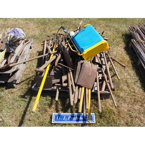 Lot 43        