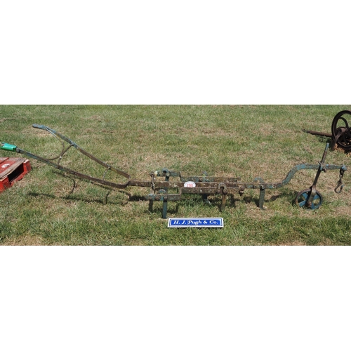 Lot 798       