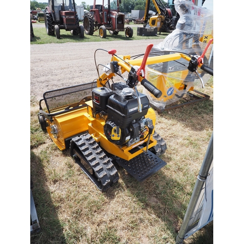 2025 - Raptor SG08 14LH pedestrian flail mower, NOS. Key in office