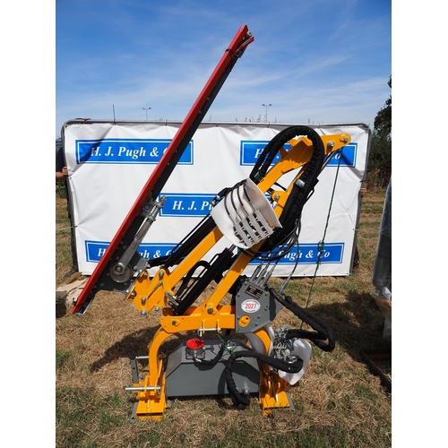 Lot 2027      