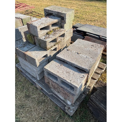 23 - Pallet of breeze blocks