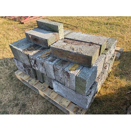 Lot 24        