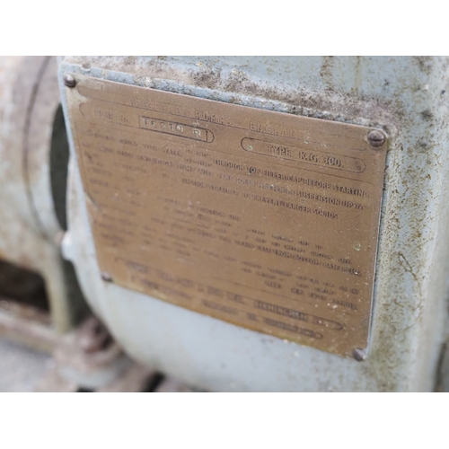 1745 - Ferguson Beresford KG300 pump in frame with chains