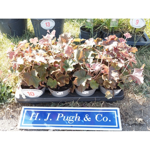Lot 10        
