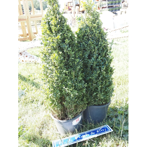 Lot 14        