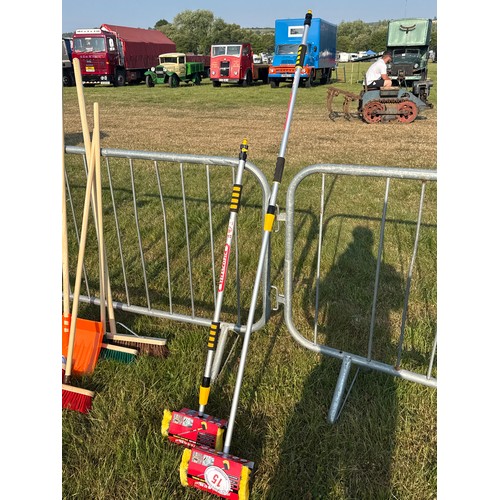 Lot 15        
