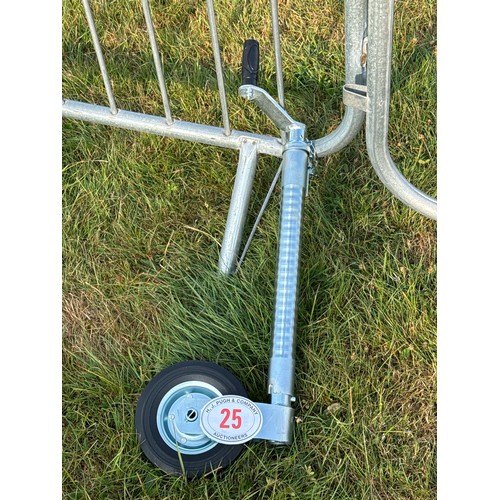Lot 25        