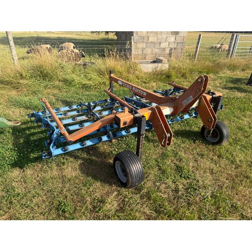 Lot 54        