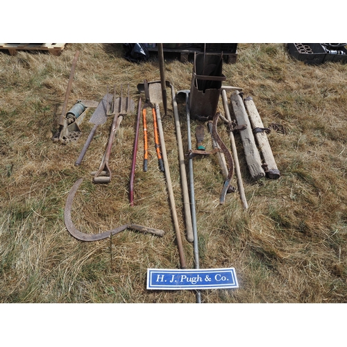 Lot 19        