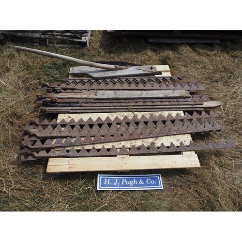 Lot 21        