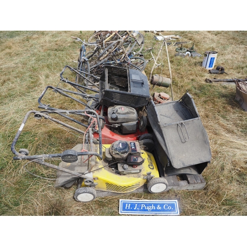 Lot 24        