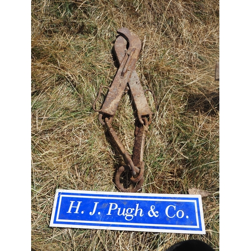 Lot 28        