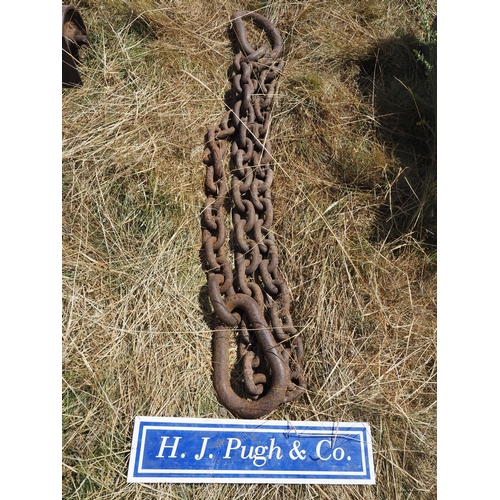 Lot 31        