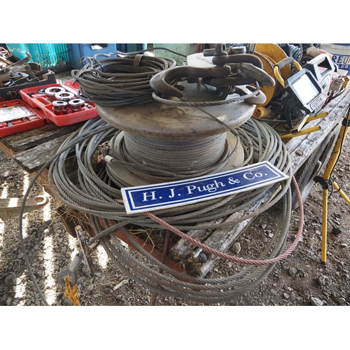 Lot 6         