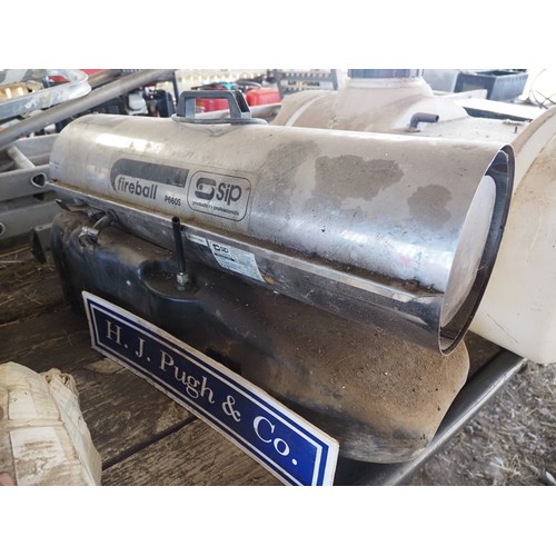 Lot 38        