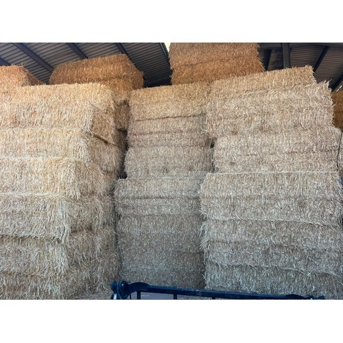 Lot 5001      