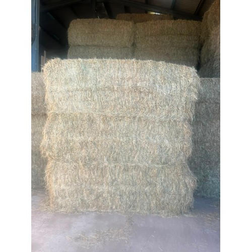 Lot 1         