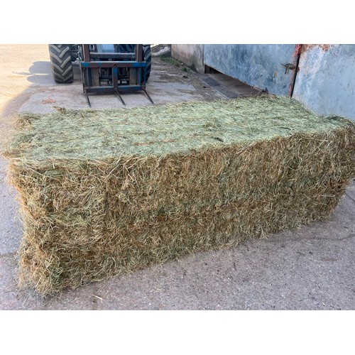 Lot 4         