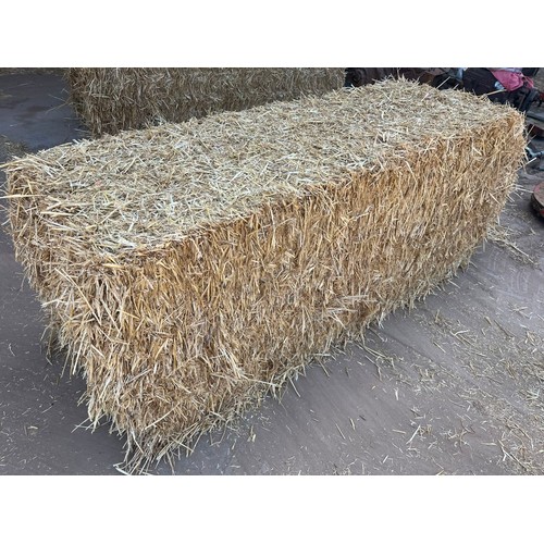 Lot 8         