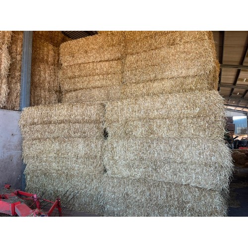 Lot 10        