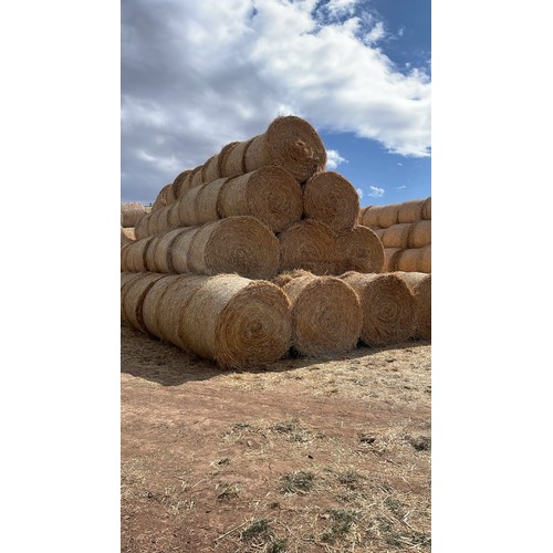 Lot 18        