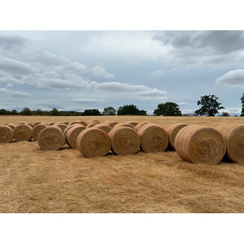 Lot 15        