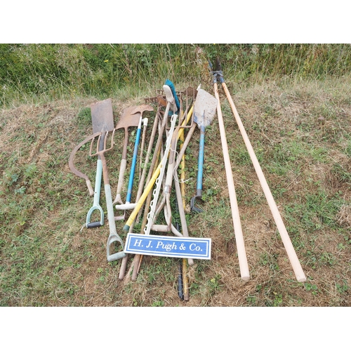 Lot 23        