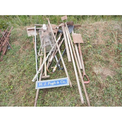 Lot 24        