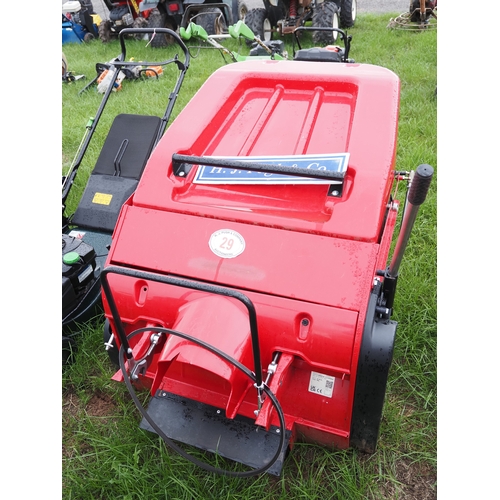 Lot 29        