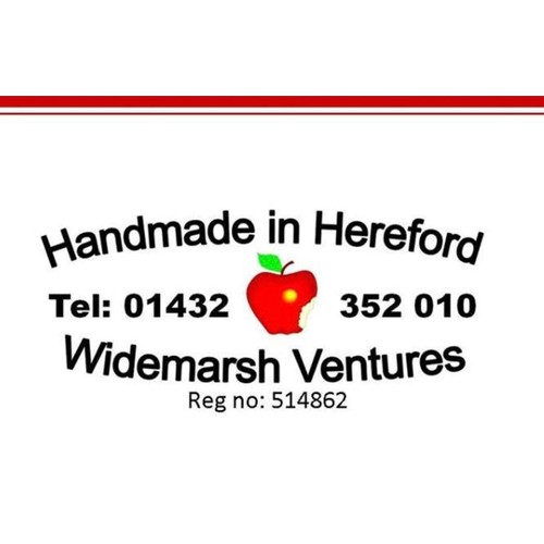 Website image