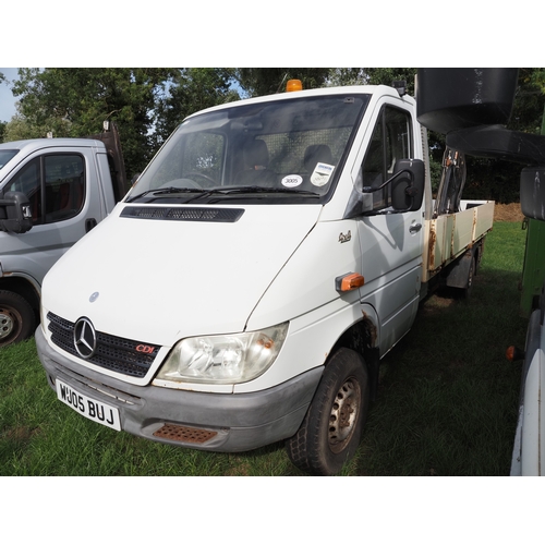 Lot 3005      