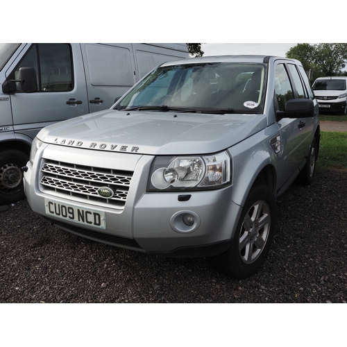 Lot 3038      