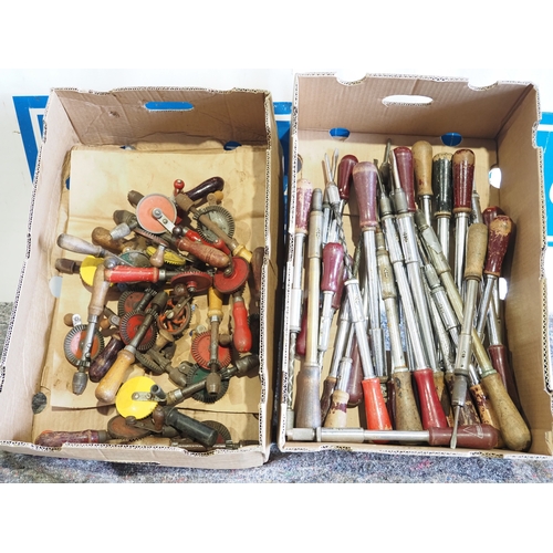 Lot 254       